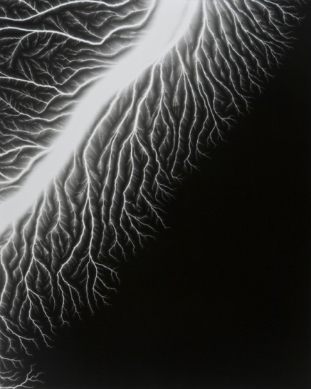 sugimoto-electricite-1.jpg