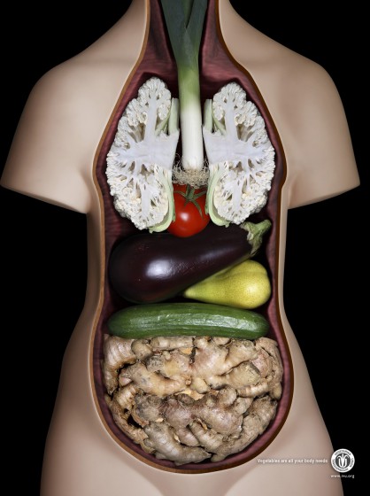 corps-legume-pub.jpg