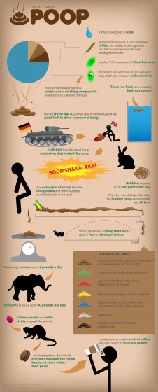 Information-caca.jpg