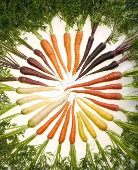 Arc-en-ciel-carottes.jpg