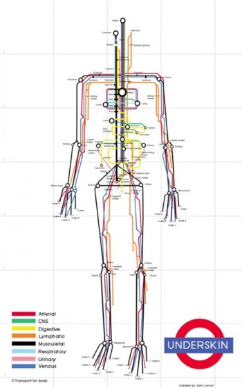 underskin-metro-humain-carte.jpg