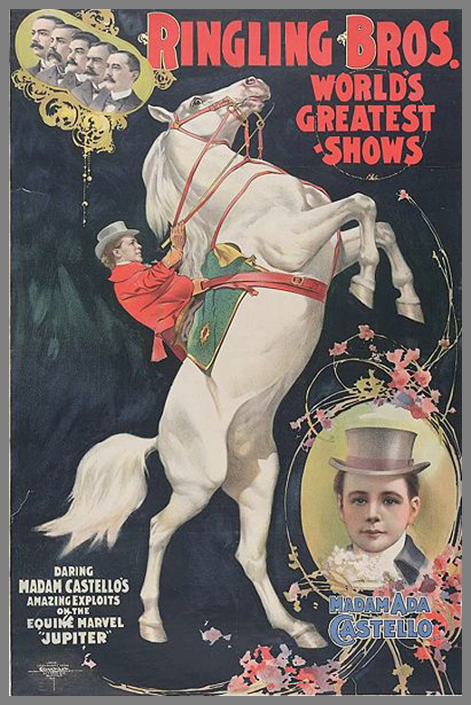 affiche poster cirque cabaret 26 27 vieilles affiches de cirques et cabarets  design 