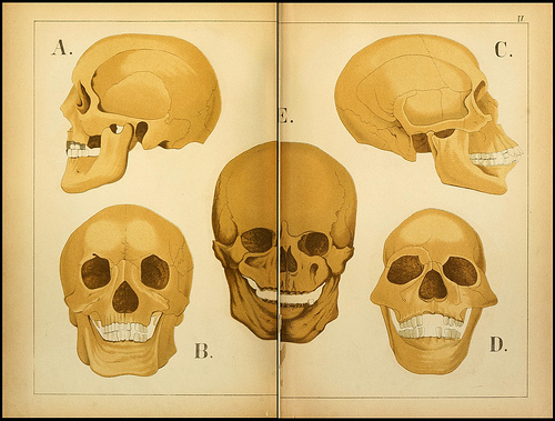 atlas anatomie enfant 05 Atlas anatomique pour écoliers en 1879  information histoire design 