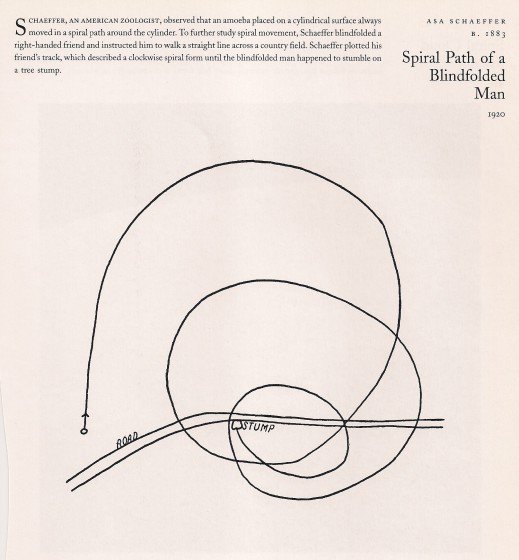 spirale-homme-aveugle-shaeffer.jpg