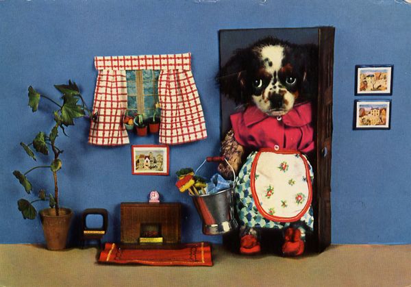carte postale wtf chat chien 06 Chiens et chats dans des cartes postales insolites