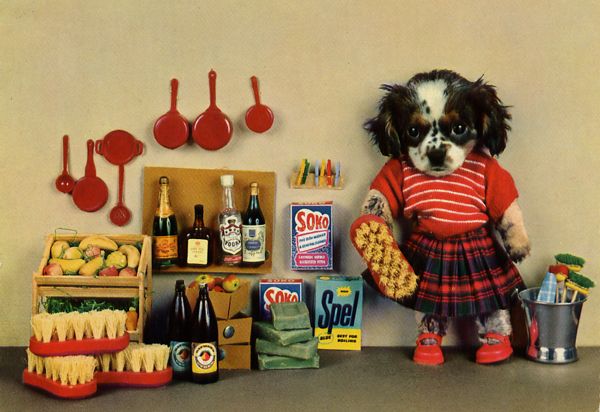 carte postale wtf chat chien 07 Chiens et chats dans des cartes postales insolites