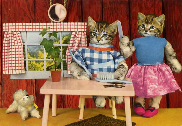 carte postale wtf chat chien 09 Chiens et chats dans des cartes postales insolites