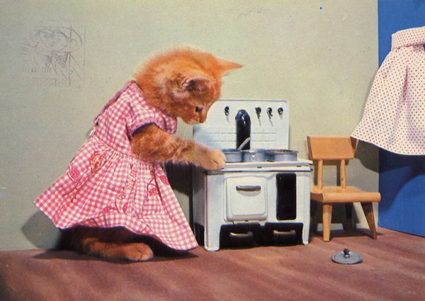 carte postale wtf chat chien 10 Chiens et chats dans des cartes postales insolites
