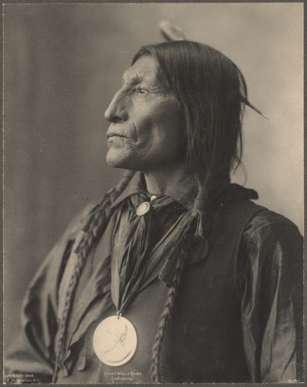 portrait-indien-reinhart-usa-ancien-01