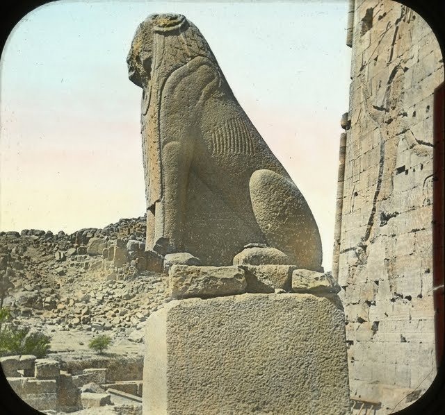 egypte vintage ancien vieille photo pyramide 05 LÉgypte avant les touristes