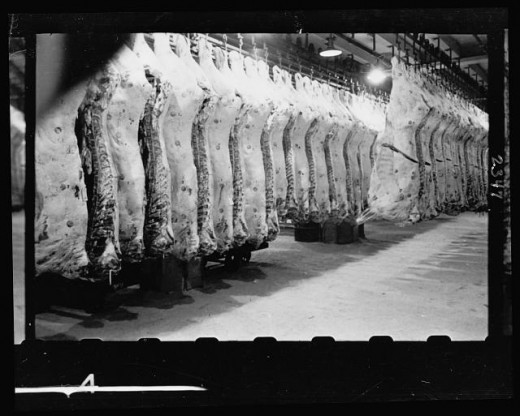 stanley kubrick photographe chicago 16 Quand Stanley Kubrick était photographe  photo photographie bonus art 