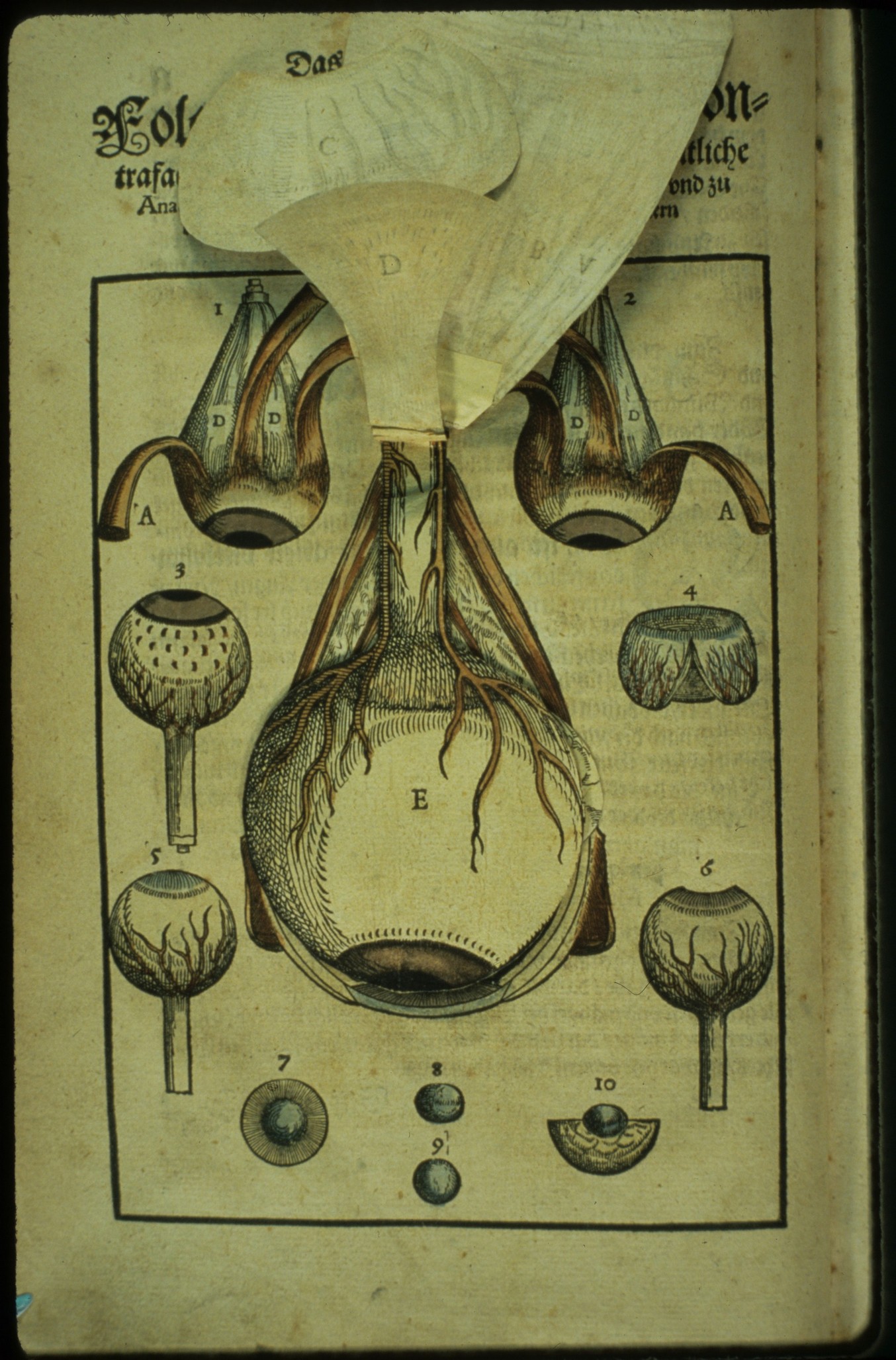Ophthalmodouleia livre ancien chirurgie oeil ophtalmologie 06 Ophthalmodouleia, manuel dophtalmologie en 1583  technologie histoire design bonus 