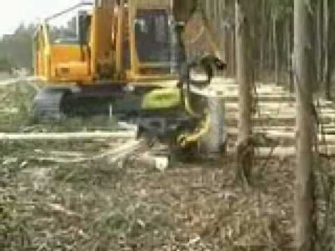 Une machine pour couper les arbres