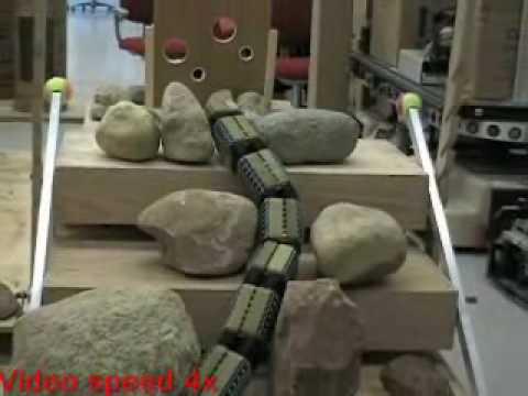 Robot Serpent #2