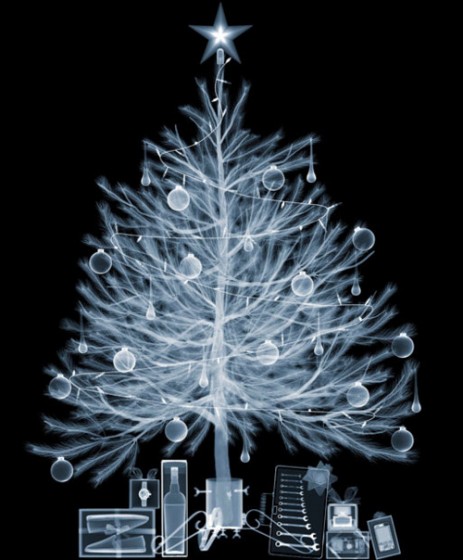 sapin-noel-x-rayon