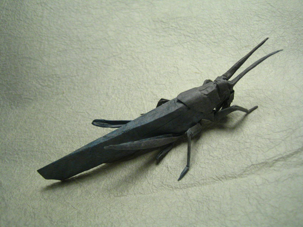 insecte origami feuille papier 05 Insectes réalistes en une feuille de papier geek divers bonus art 