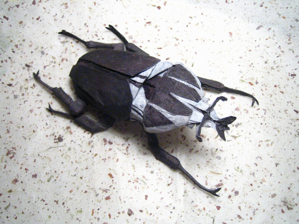 insecte origami feuille papier 07 Insectes réalistes en une feuille de papier geek divers bonus art 