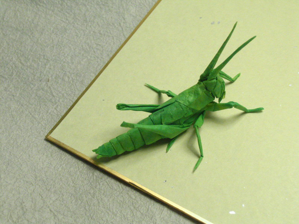 insecte origami feuille papier 09 Insectes réalistes en une feuille de papier geek divers bonus art 