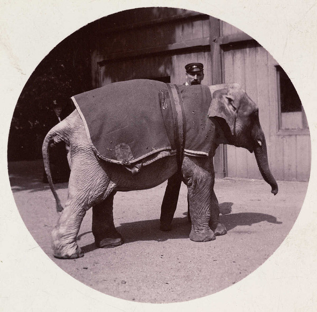 Les photographies rondes de Kodak kodak photographie rond circulaire 17 photo photographie histoire bonus kodak photographie rond circulaire 17 Les photographies rondes de Kodak