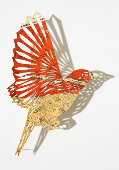 oiseau-cartographique-01