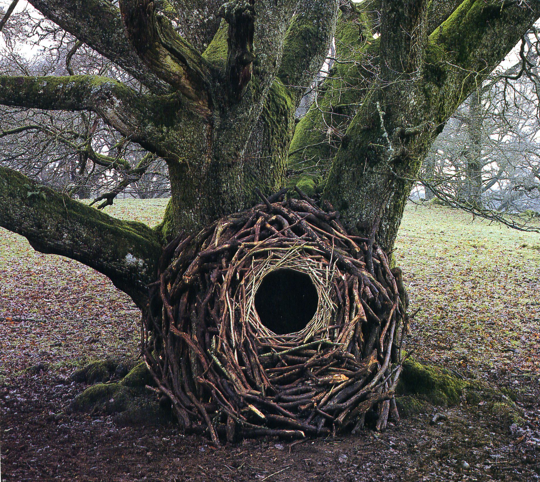 Les oeuvres dans la nature dAndy Goldsworthy land art Andy Goldsworthy 10 photo bonus art land art Andy Goldsworthy 10 Les oeuvres dans la nature dAndy Goldsworthy