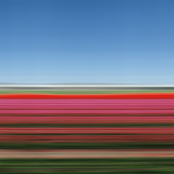 paysage-defile-rob-carter-01