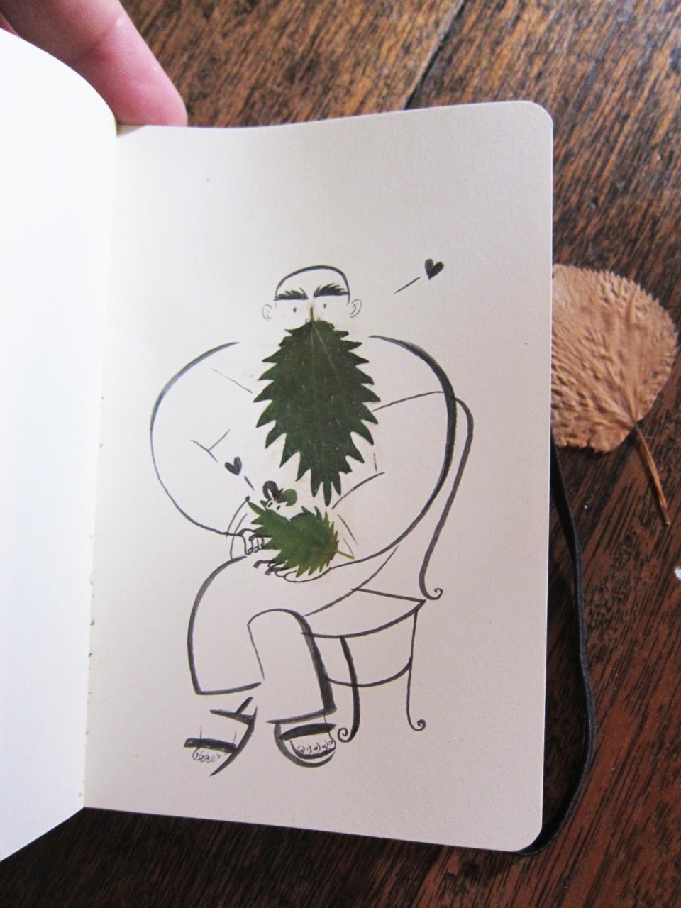 herbier feuille illustration 04 Un herbier illustré