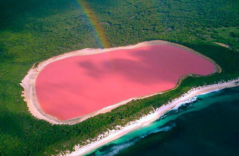 Résultat de recherche d'images pour "lac rose"