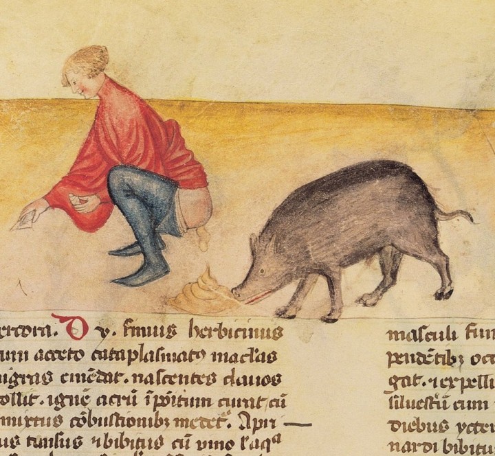 marginalia enluminure etrange moyen age 12 720x664 Des enluminures étranges au Moyen Age  peinture 2 histoire featured design bonus art 