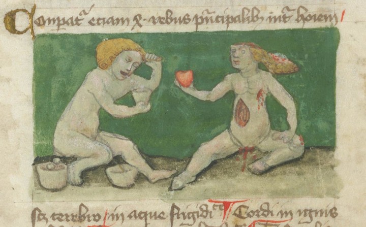 marginalia enluminure etrange moyen age 20 720x447 Des enluminures étranges au Moyen Age  peinture 2 histoire featured design bonus art 