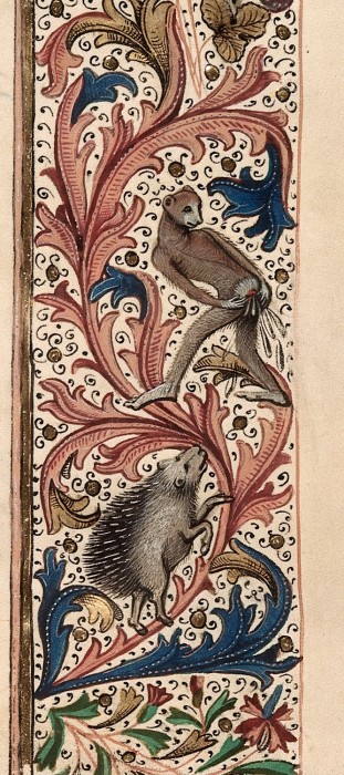 marginalia enluminure etrange moyen age 29 311x700 Des enluminures étranges au Moyen Age  peinture 2 histoire featured design bonus art 