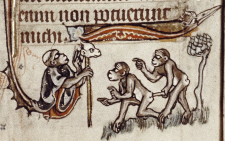 marginalia enluminure etrange moyen age 41 720x451 Des enluminures étranges au Moyen Age  peinture 2 histoire featured design bonus art 
