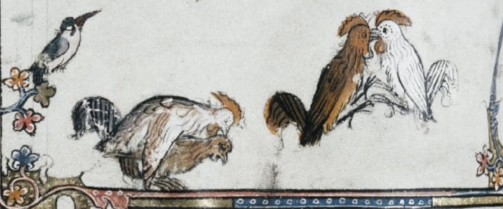 marginalia enluminure etrange moyen age 44 720x299 Des enluminures étranges au Moyen Age  peinture 2 histoire featured design bonus art 