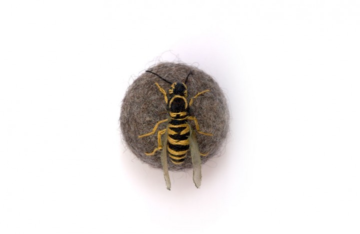 insecte-brode-boule-05