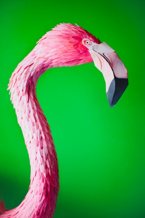 oiseau papier 03 466x700 Des oiseaux en papier  divers bonus art 