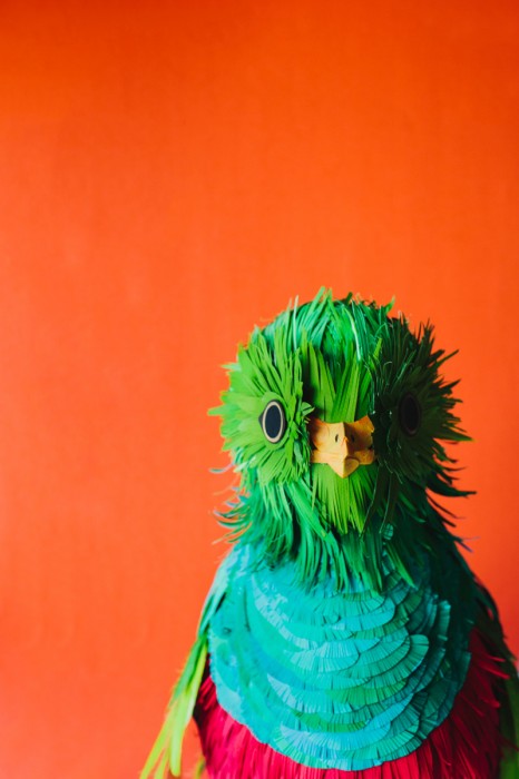 oiseau papier 05 466x700 Des oiseaux en papier  divers bonus art 