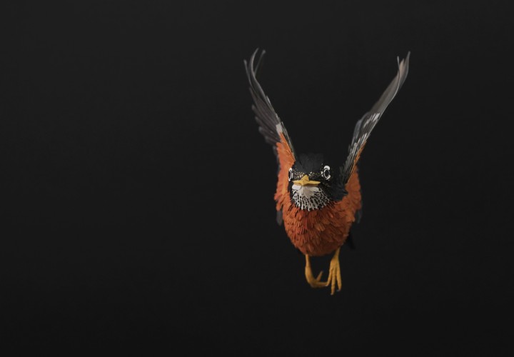 oiseau papier 08 720x500 Des oiseaux en papier  divers bonus art 
