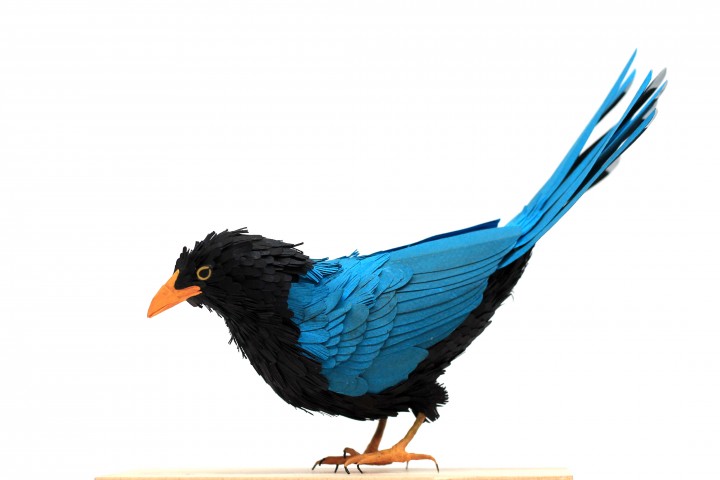 oiseau papier 10 720x480 Des oiseaux en papier  divers bonus art 