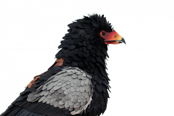 oiseau papier 11 720x480 Des oiseaux en papier  divers bonus art 