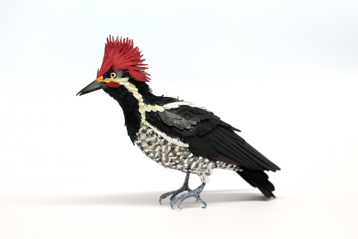 oiseau papier 12 720x480 Des oiseaux en papier  divers bonus art 