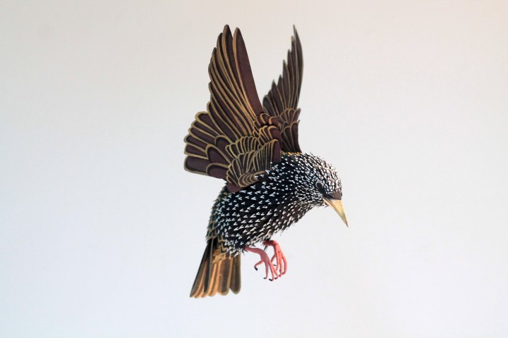 oiseau papier 13 720x480 Des oiseaux en papier  divers bonus art 