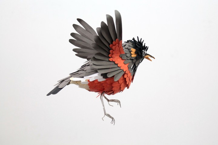 oiseau papier 16 720x480 Des oiseaux en papier  divers bonus art 