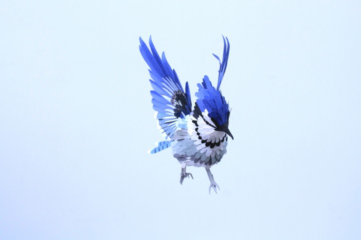 oiseau papier 17 720x480 Des oiseaux en papier  divers bonus art 