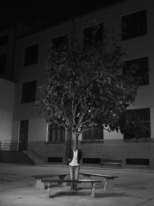 peuple arbre 09 525x700 Le peuple des arbres  photographie bonus art 