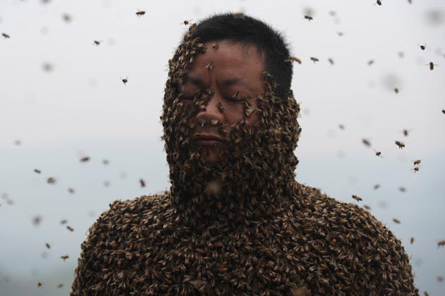 recouvert abeilles 02 Un chinois se recouvre de 450 000 abeilles 