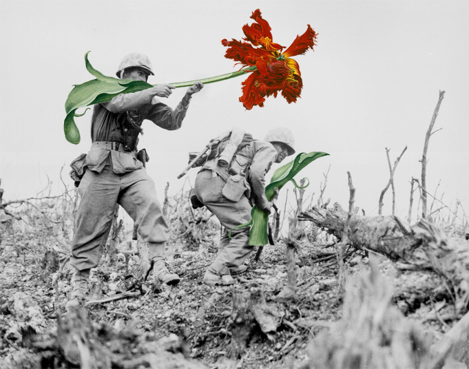 blik-photo-guerre-arme-fleur-03