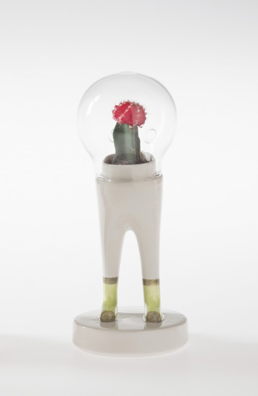 domsai-pied-cactus-01
