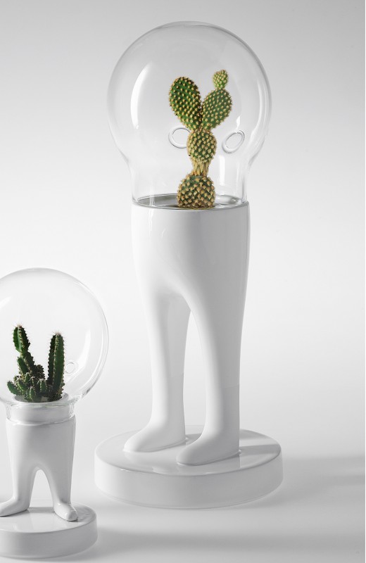 domsai-pied-cactus-04