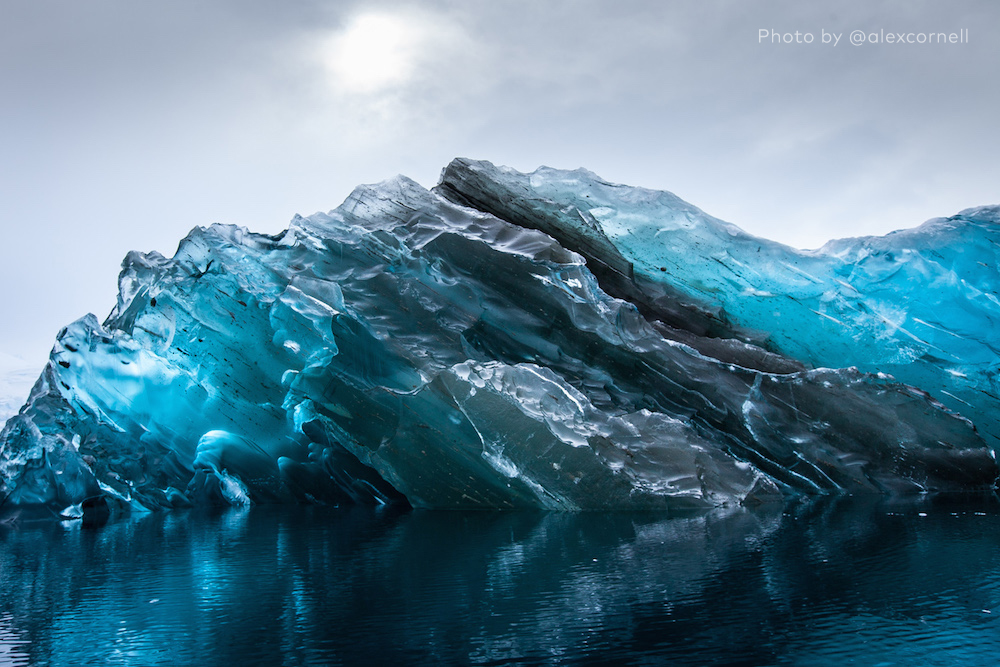 iceberg-dessous-02