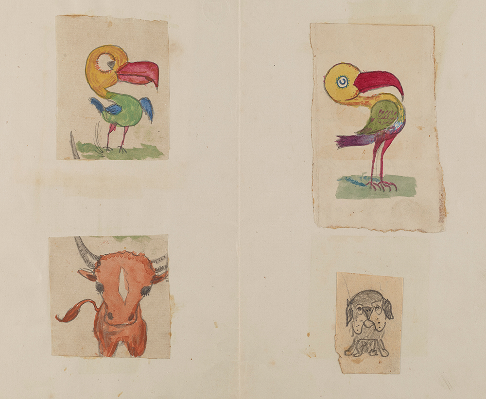 enfant-dessin-darwin-manuscrit-origine-espece-11